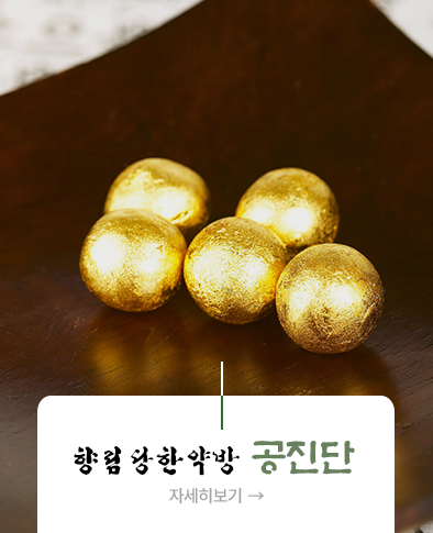 향림당한약방 공진단